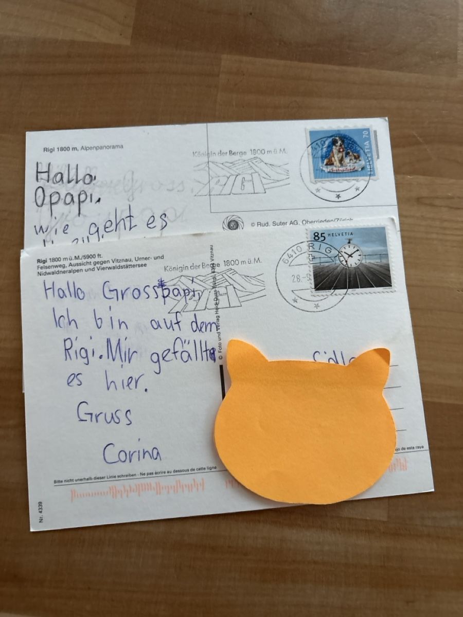 Cartoline postali: AK von Rigi – Usato da Rümlang venduto da Kartenpost1 1