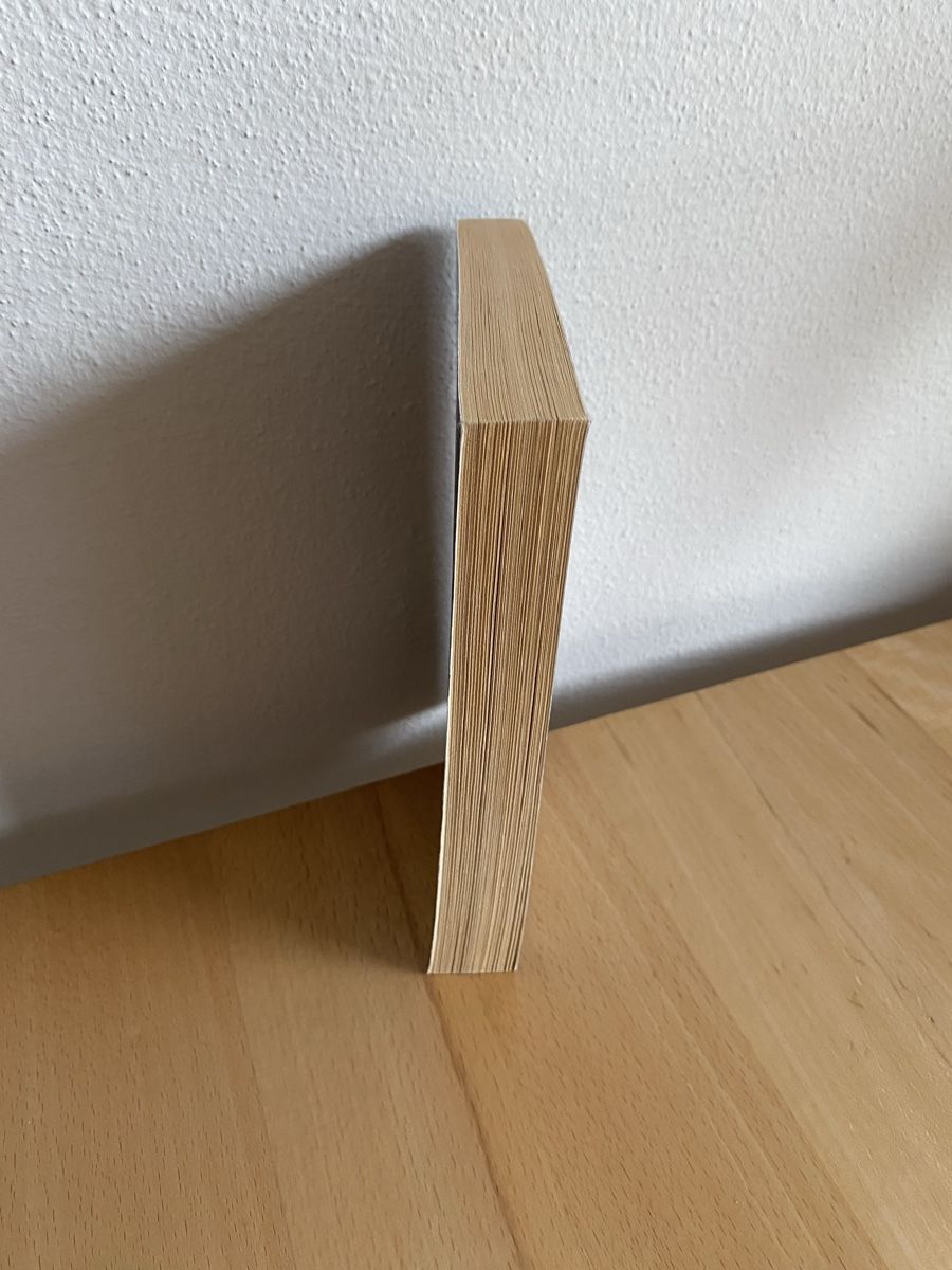 Libri: Silberkiesel - Hansjörg Schneider – Usato da Schwarzenburg venduto da Michellu 3