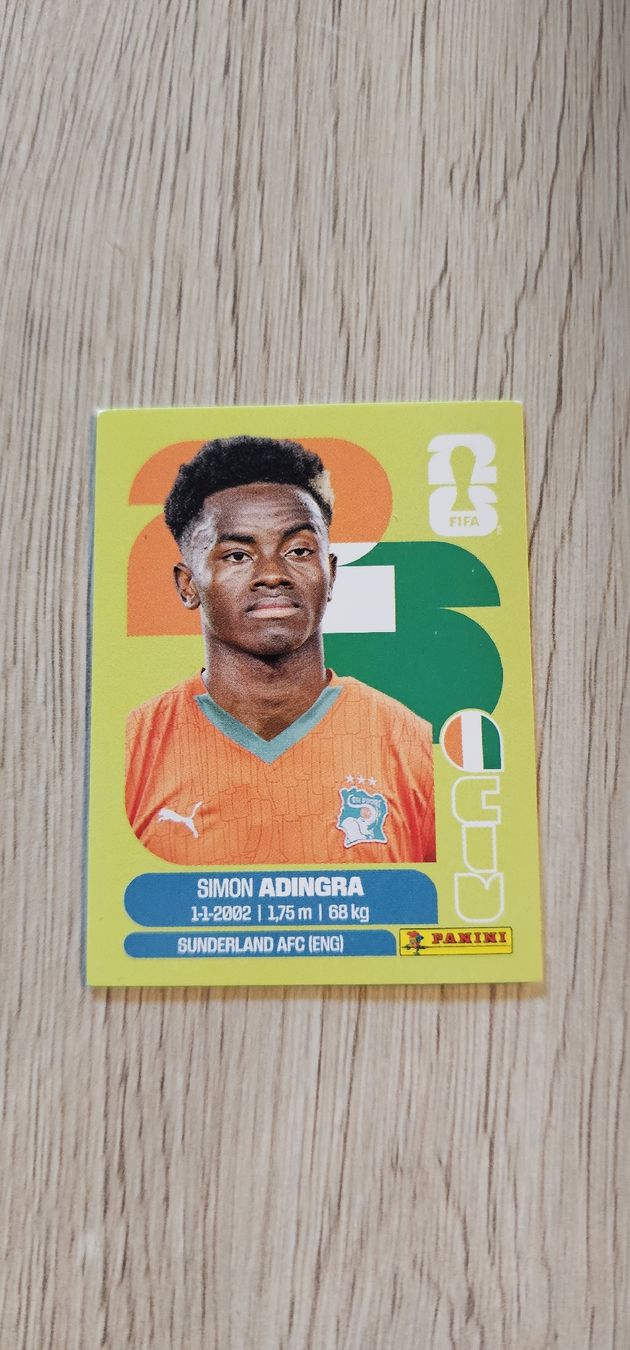 Panini Cartes à collectionner: Fifa World Cup Panini CIV 17 – Neuf avec emballage d'origine à Biel VS par volcom8702