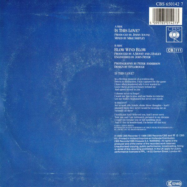 Dischi in vinile: Moyet Alison: Is This Love? 7" – Usato da Steinhausen venduto da Vilivinili 1