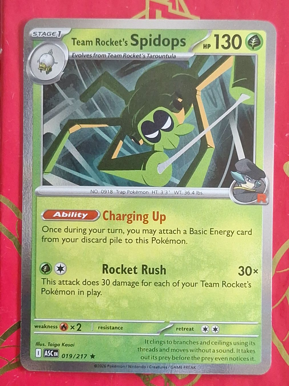 Pokémon Carte collezionabili: Team Rocket's Spidops Holo - Ascended Heroes – Usato da Altstätten SG venduto da GGsGameshop