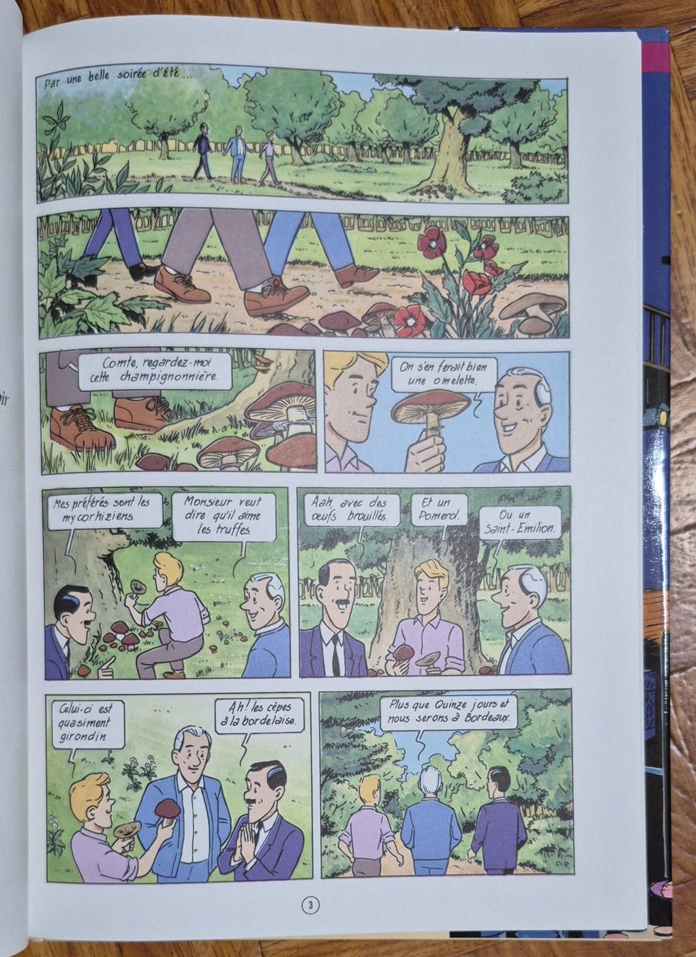 Fumetti: Les Voyages du Comte Bordeaux - BD Edition Originale 1993 – Usato da Grand-Lancy venduto da loi_599y 4