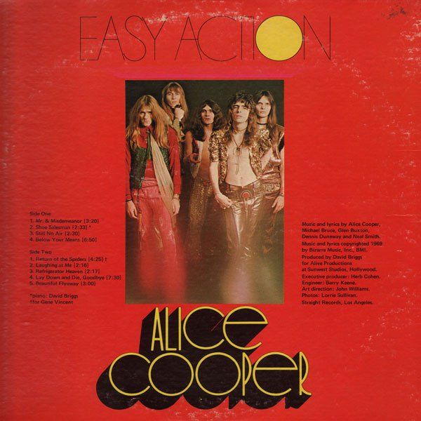 Dischi in vinile: LP ALICE COOPER - Easy Action Hard – Usato da Bettlach venduto da galileo-records 1