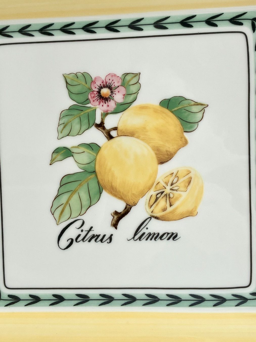 Villeroy & Boch Piatti: VILLEROY & BOCH "French Garden" Teller "Citrus Limon" – Usato da Kloten venduto da Nephty 1