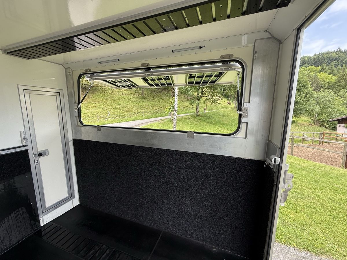 Steinsberger Rimorchi: Pferdeanhänger/ Pferdetransporter  – Usato da St. Gallen venduto da rap_kql2 5