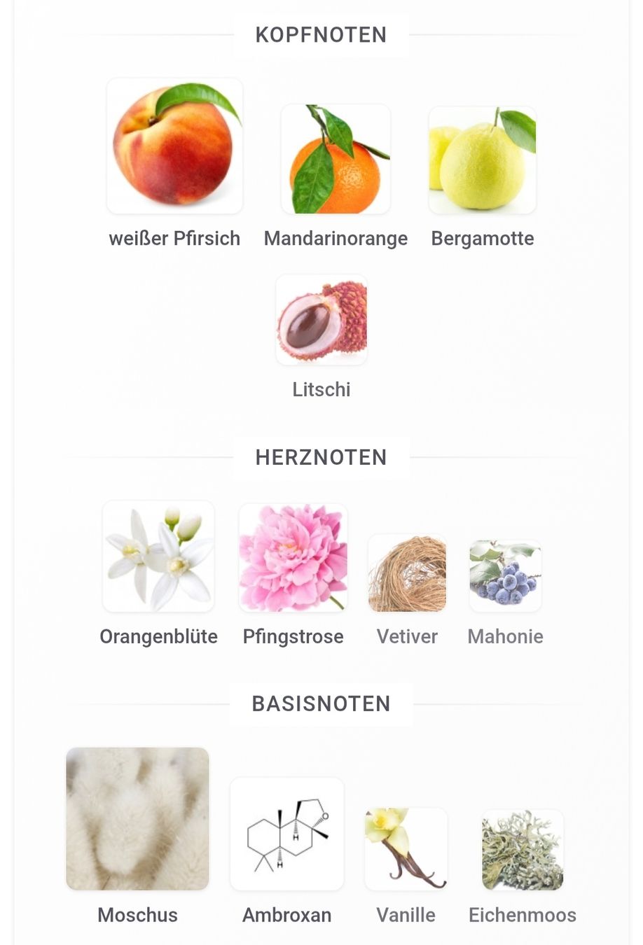 Parfums & Eau de Toilette: Afnan Mystique Bouquet – Neuf (Voir description) à Winterthur par Je. 3