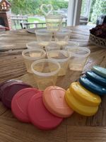 Babymoov Behälter Set mit Deckeln Babybrei 