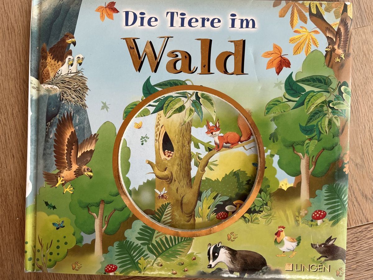 Libri: Die Tiere im Wald – Usato da Gebenstorf venduto da pas_9p6b
