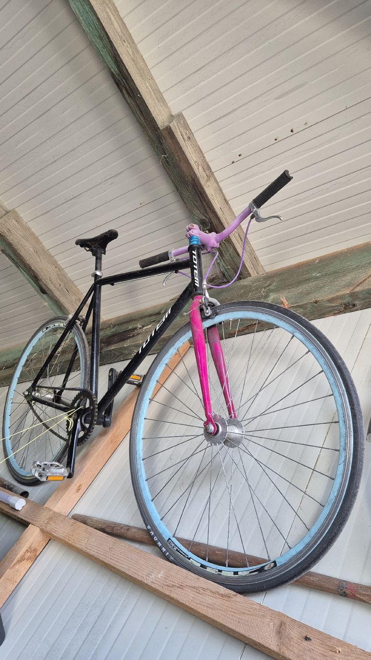 Totem Velos: vélo mono vitesse fixe et à roue libre avec freins – Gebraucht aus Ependes FR von seb_575z