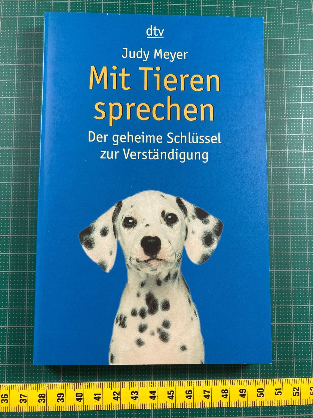 Libri: Judy Meyer: Mit Tieren sprechen – Usato da Lenzburg venduto da fh1