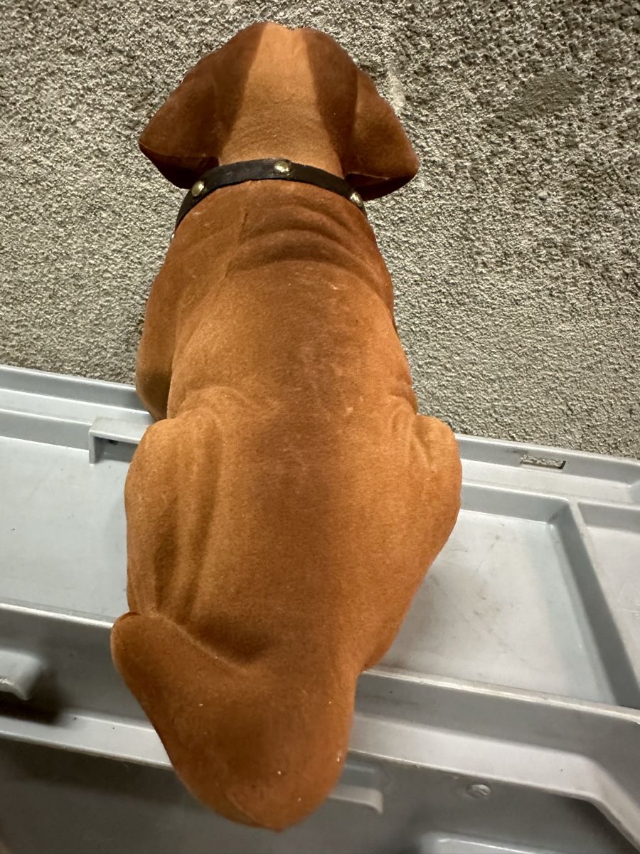 Tutte le decorazioni: Wackeldackel hund – Nuovo (secondo la descrizione) da Reinach AG venduto da rares75 2