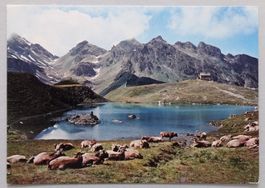 Pizol, Wangsersee mit Pizolhütte