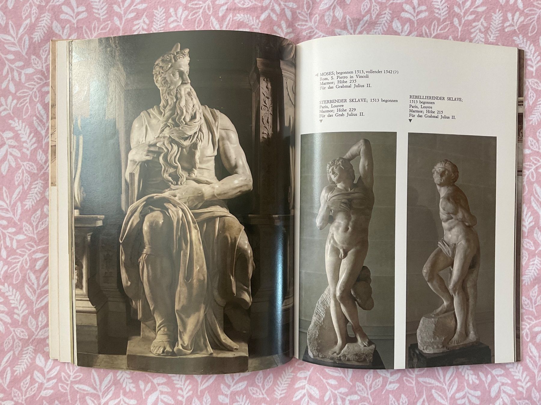 Libri: Michelangelo, alle Werke – Usato da Zürich venduto da Tolima194 6
