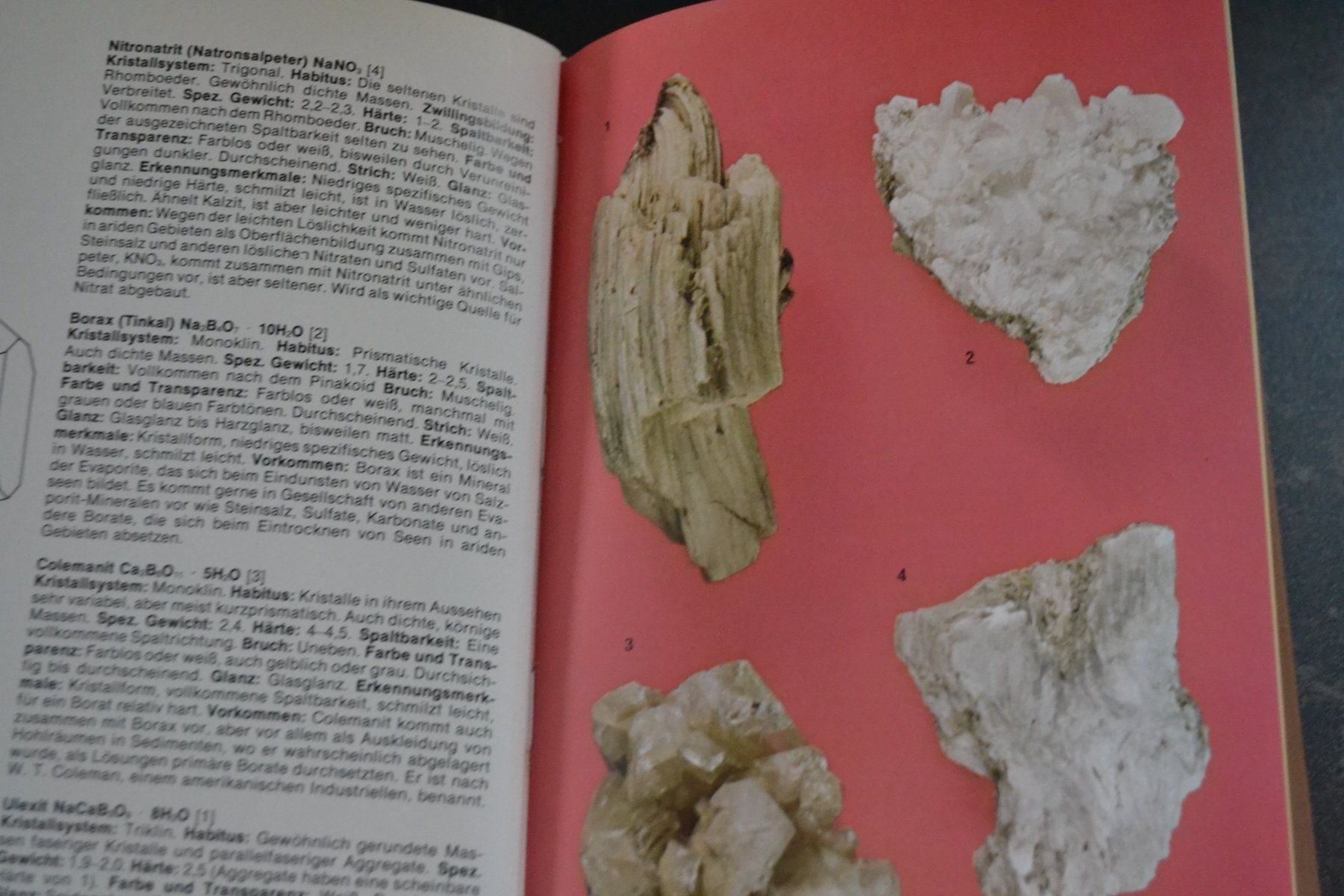 Libri: DER Kosmos Steinführer – Usato da Beinwil am See venduto da kajak55 1