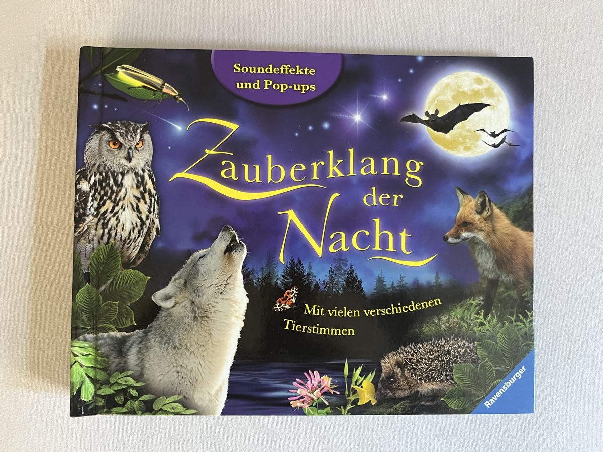 Livres audio: Interactive book – D'occasion à Saas-Fee par Marienelly19