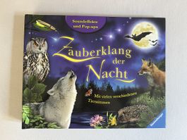 Interactive book