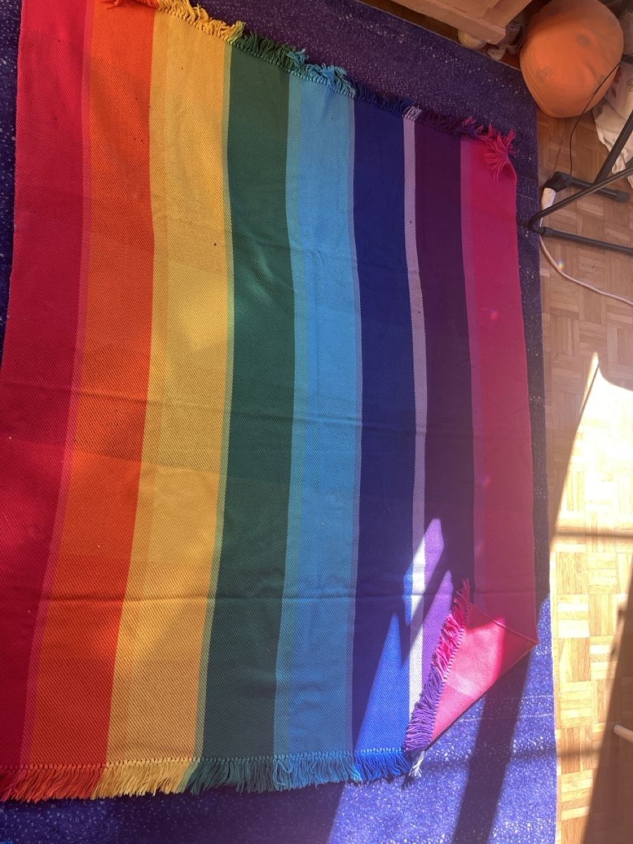 Coperte: Handgewobene Regenbogendecke – Usato da hüntwangen venduto da Fiorenzaanna