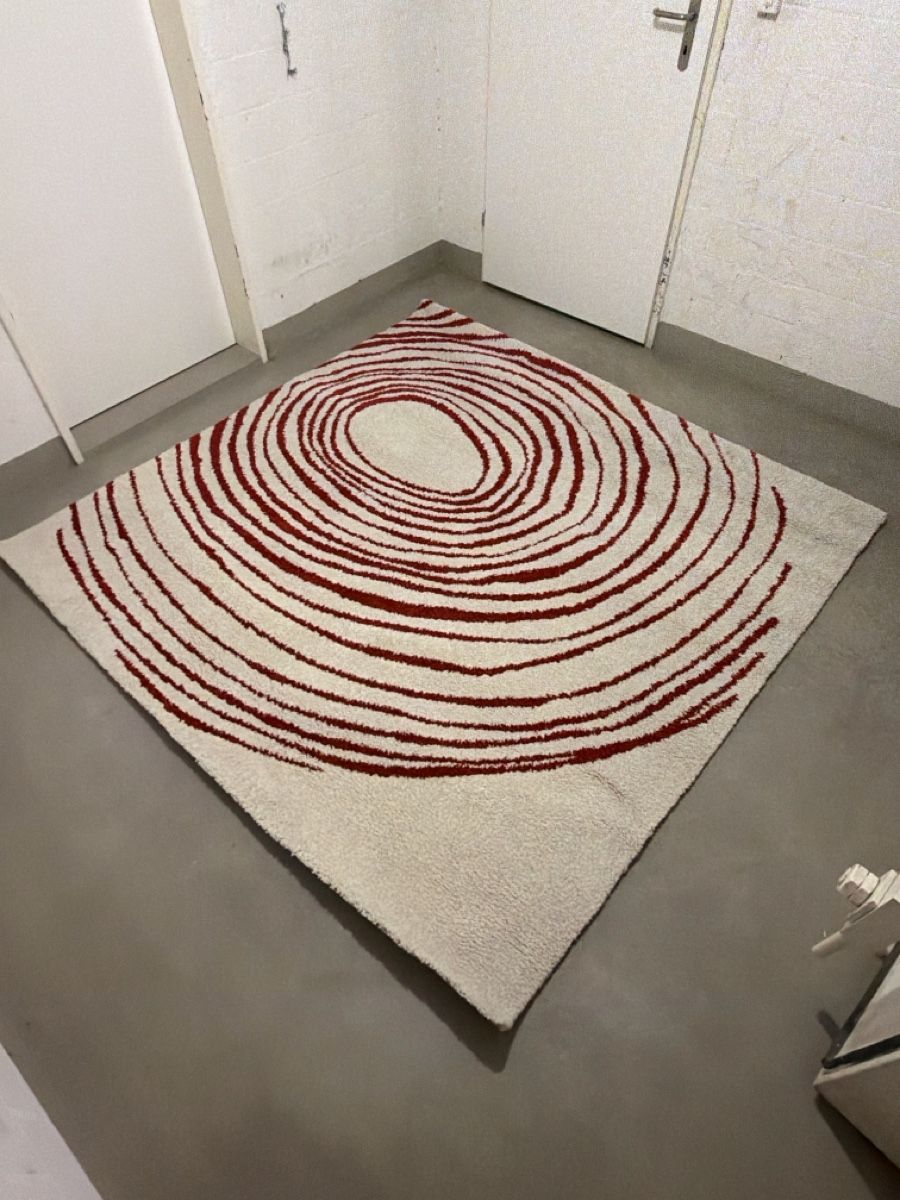 Tappeti: IKEA Eivor Cirkel Teppich 200x200 cm gebraucht – Usato da Wolfhausen venduto da sky-n-sand