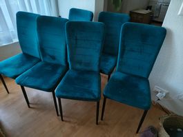 Set aus 6 Cordstühlen//set of 6 corduroy chairs