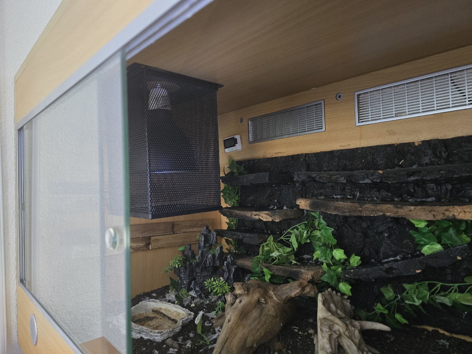 Terrario: Terrarium 80x50x50 cm – Usato da Bronschhofen venduto da nan_nw55 1
