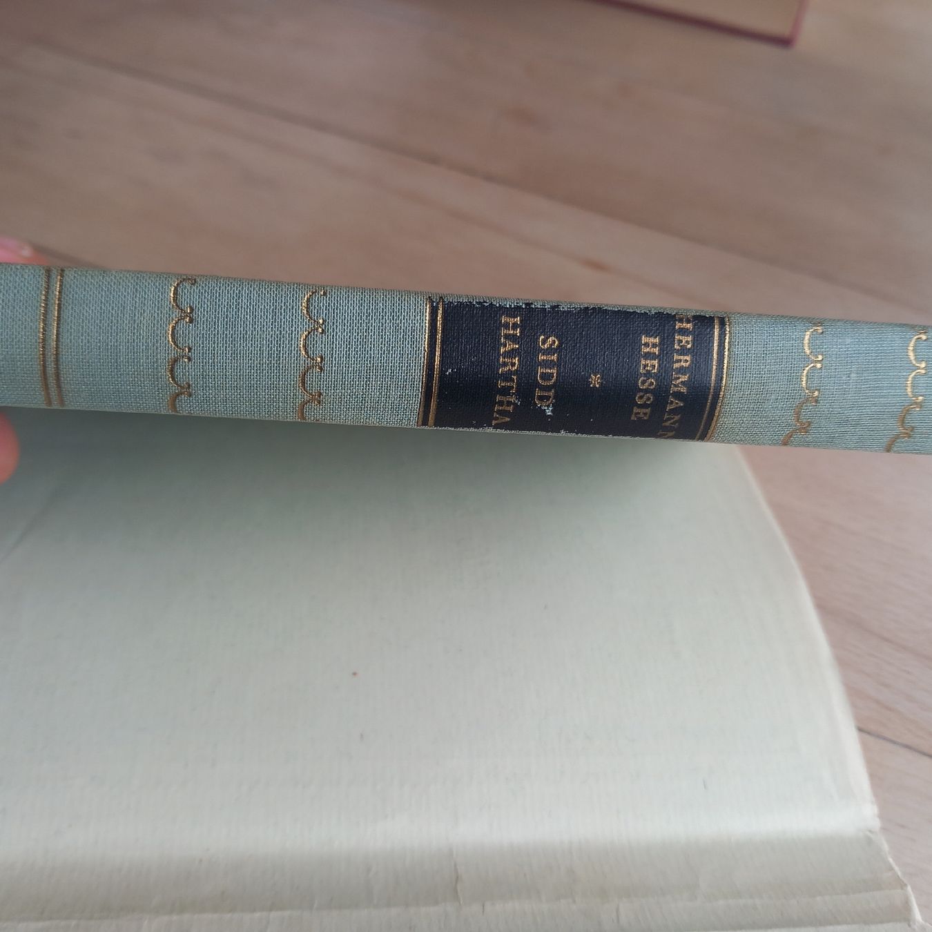 Libri: Hermann Hesse Siddhartha Eine indische Dichtung – Usato da Ebnat-Kappel venduto da blazzi 3