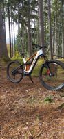 Stevens E-Inception AM 8.7.1 Spezial