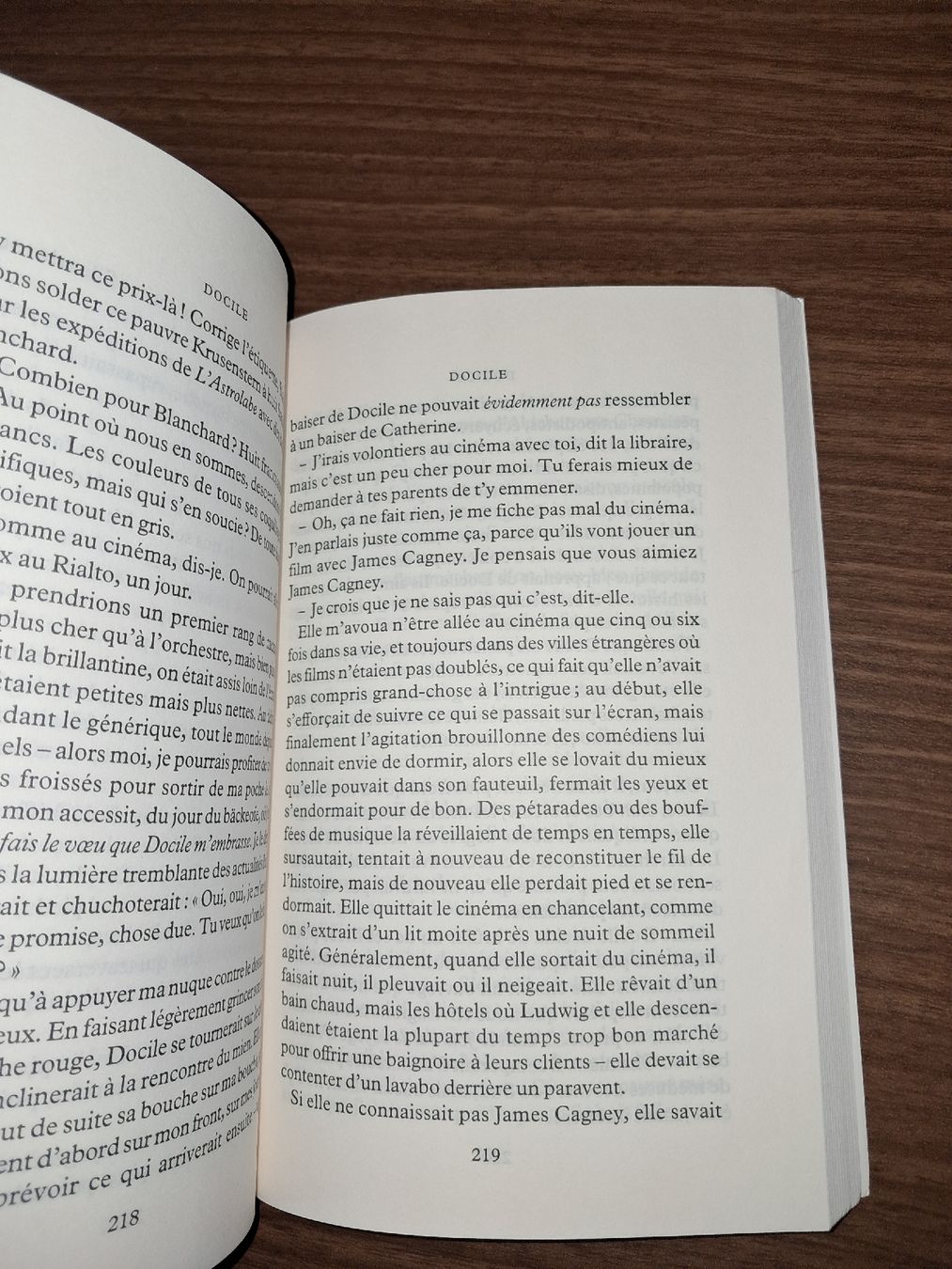 Libri: Didier Decoin - Docile (Roman Seuil) – Usato da Le locle venduto da juliensaran 1
