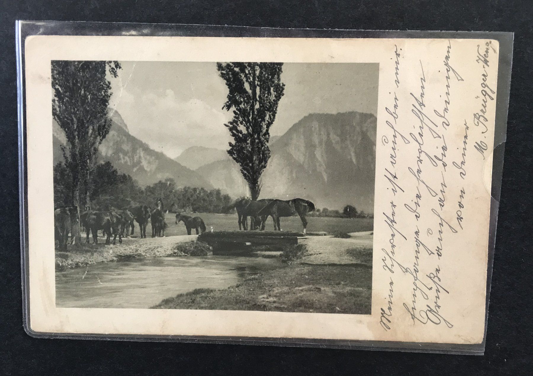 Cartoline postali: ANTIKE ANSICHTSKARTE – Usato da Ostermundigen venduto da wini63