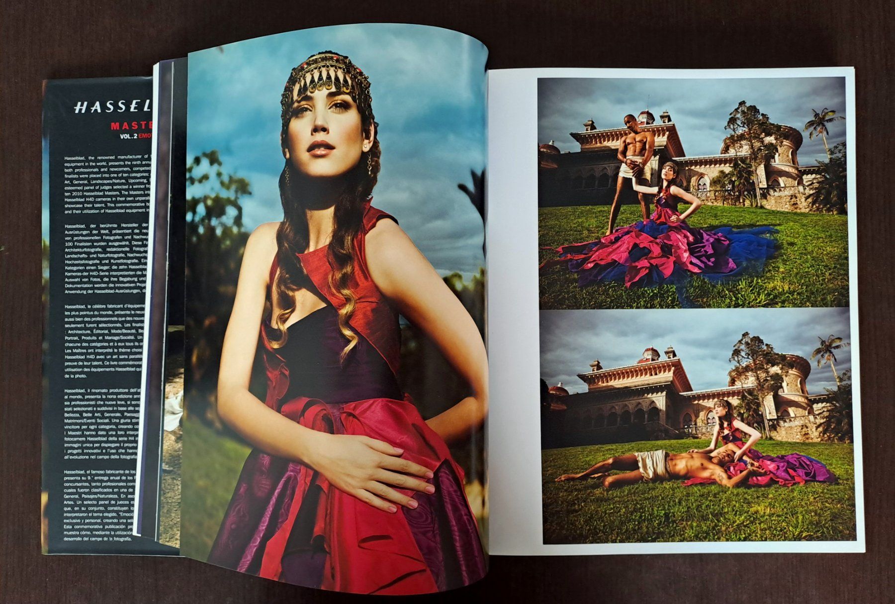 Libri: Hasselblad Master 2010 Vol.2 EMOTION Fotobildband – Usato da Genève venduto da Blowupster 1