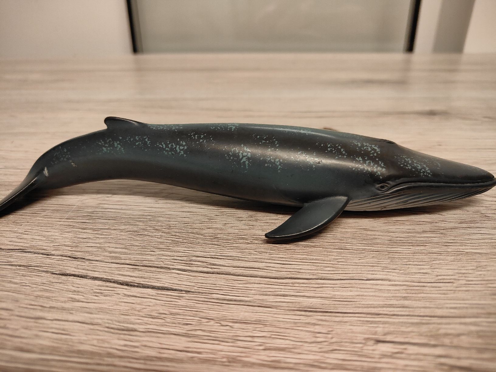 Schleich Statuette: Schleich Blauwal Meerestiere Wal Tiere – Usato da Thalwil venduto da FigurenFreunde 1