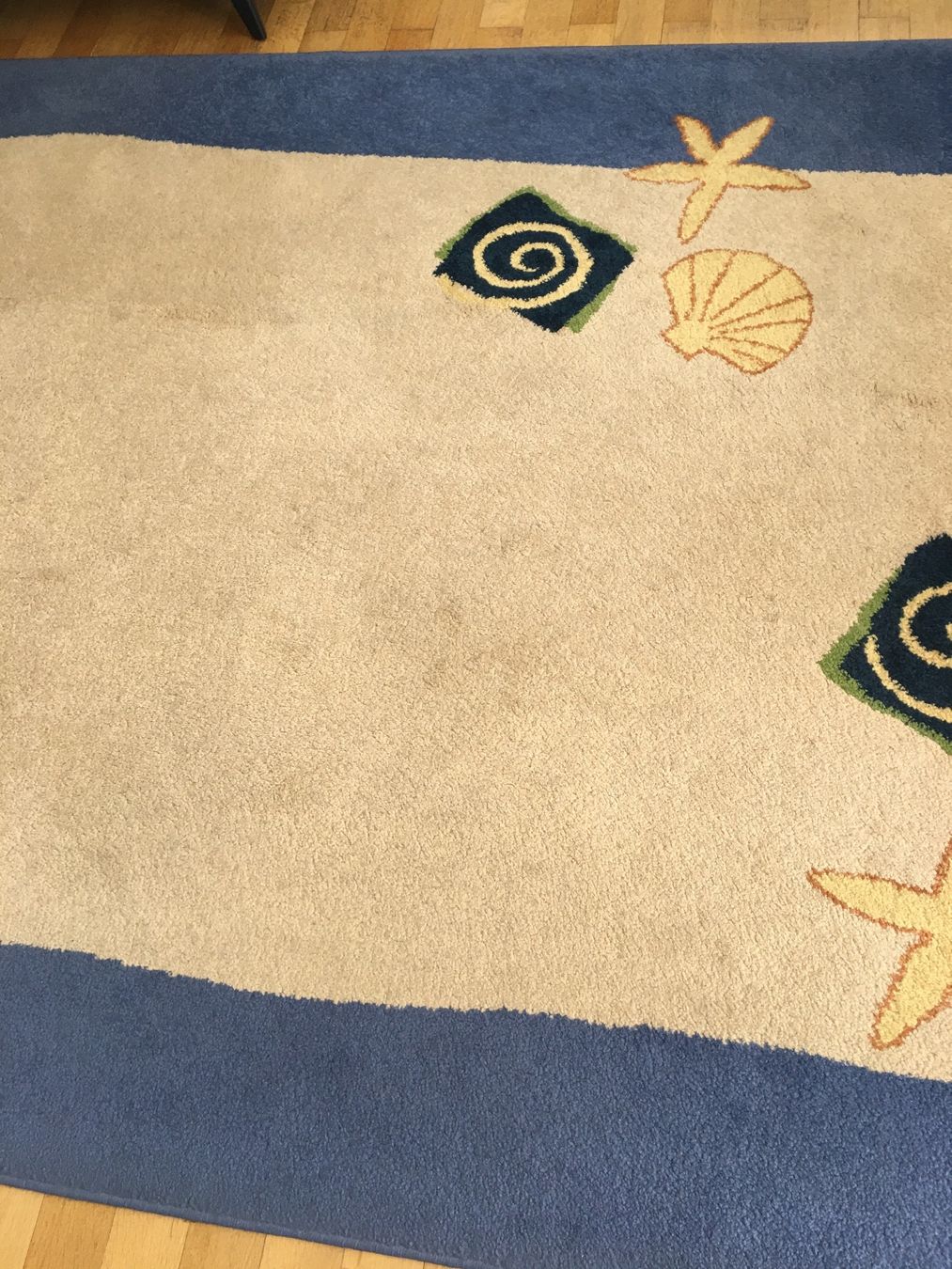 Tappeti: Teppich 160 x 240 – Usato da Grenchen venduto da Tirana 3