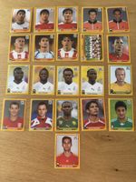Panini WM 2010 21 Stück 