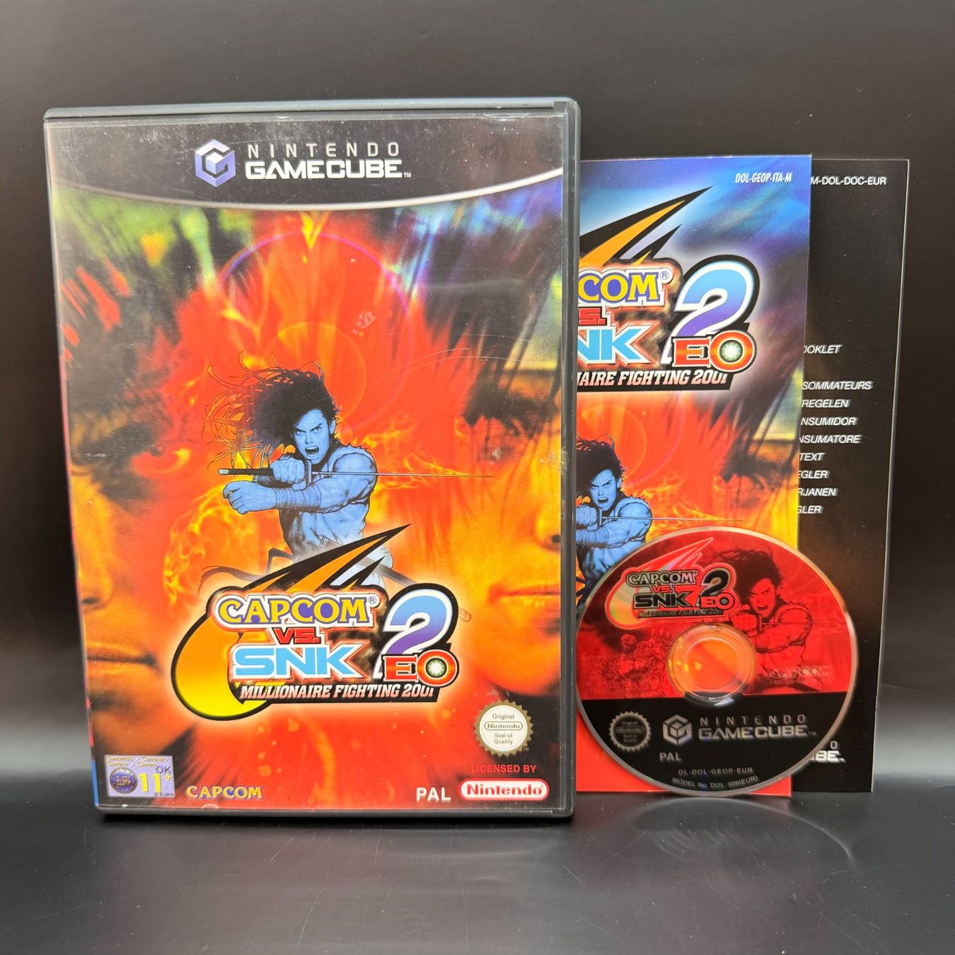 Nintendo Giochi: Capcom VS SNK 2 Gamecube – Usato da Düdingen venduto da Nerdworld