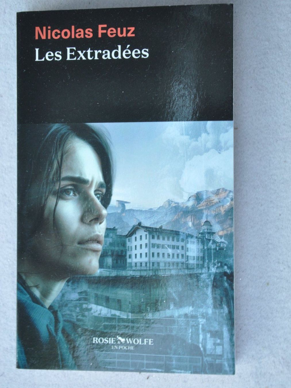 Livres: Les extradés - Nicolas Feuz – D'occasion à Fully par Minouchka