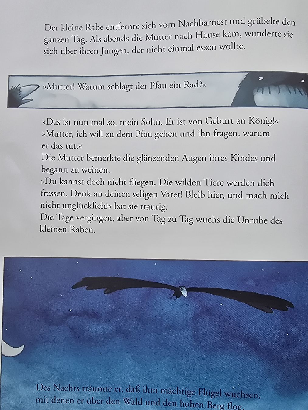 Bücher: Rafik Schami Der Schnabelsteher Els Cools – Gebraucht aus Hedingen von mickway 3