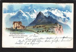 #Männlichen oberhalb Kleinen Scheidegg , gel. 1902