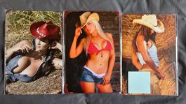 Lot de 3 posters sexy style pin-up -État neuf.