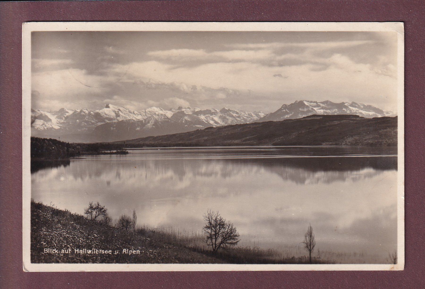 Ansichtskarten: Blick auf HALLWILERSEE - 1931 – Gebraucht aus Pully von nicecards