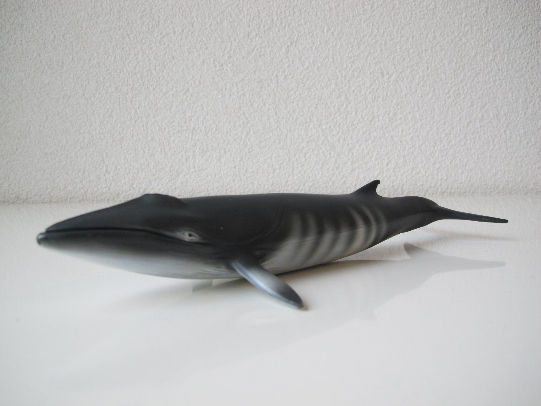 Schleich Figuren: Schleich 16087 Zwergwal Walfisch – Gebraucht aus Vilters von hedi00 3