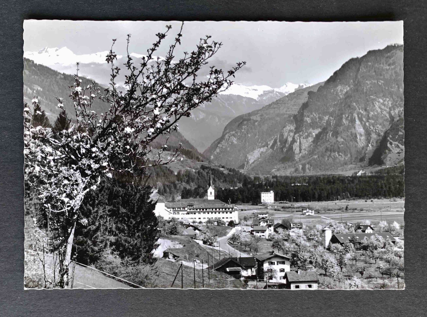 Cartoline postali: AK Cazis Domleschg mit Ringelspitz – Usato da Goldau venduto da artelier1