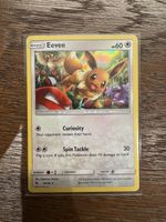 Pokemon Eevee 