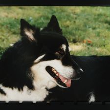 Profile image of Mystere7