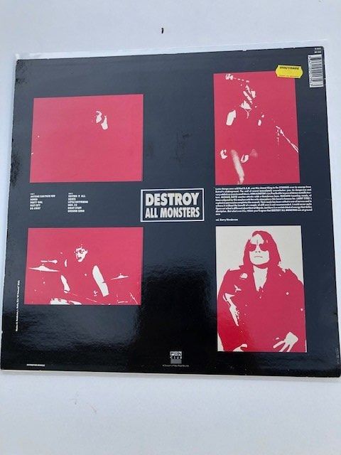 Dischi in vinile: Destroy All Monsters – Usato da Aarwangen venduto da Jukebox3 2