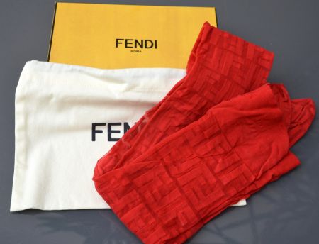 Fendi Strumpfhosen/ Collants .2