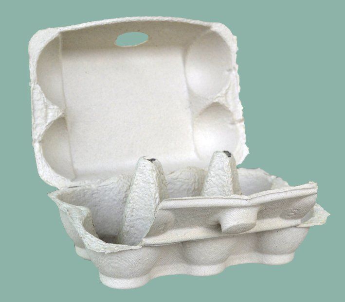 Cartoni: Eierkartons für 6-Eier – Nuovo e nell'imballaggio originale da Lauperswil venduto da oeko-sack 1