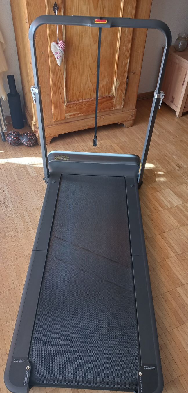 Kingsmith Hometrainer: Klappbares Laufband  – Usato da Hausen am Albis venduto da Fahei