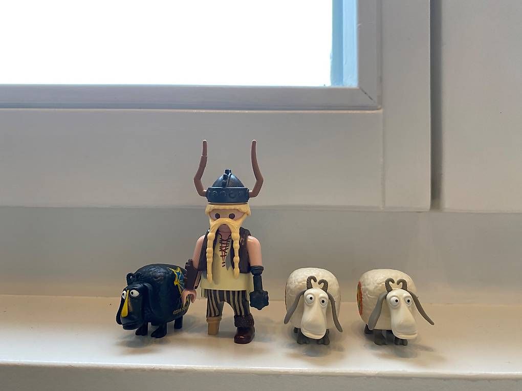 Giocattoli: Playmobil Drachenzähmen – Usato da Steinach venduto da Susansung 2