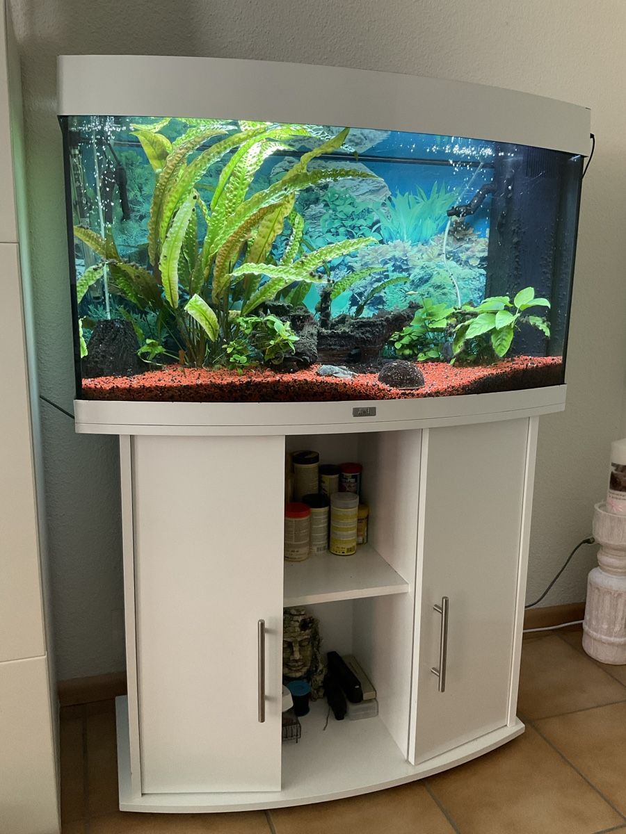 Juwel Acquari: Aquarium Juwel Vision 180 L – Usato da Biberist venduto da duarte09