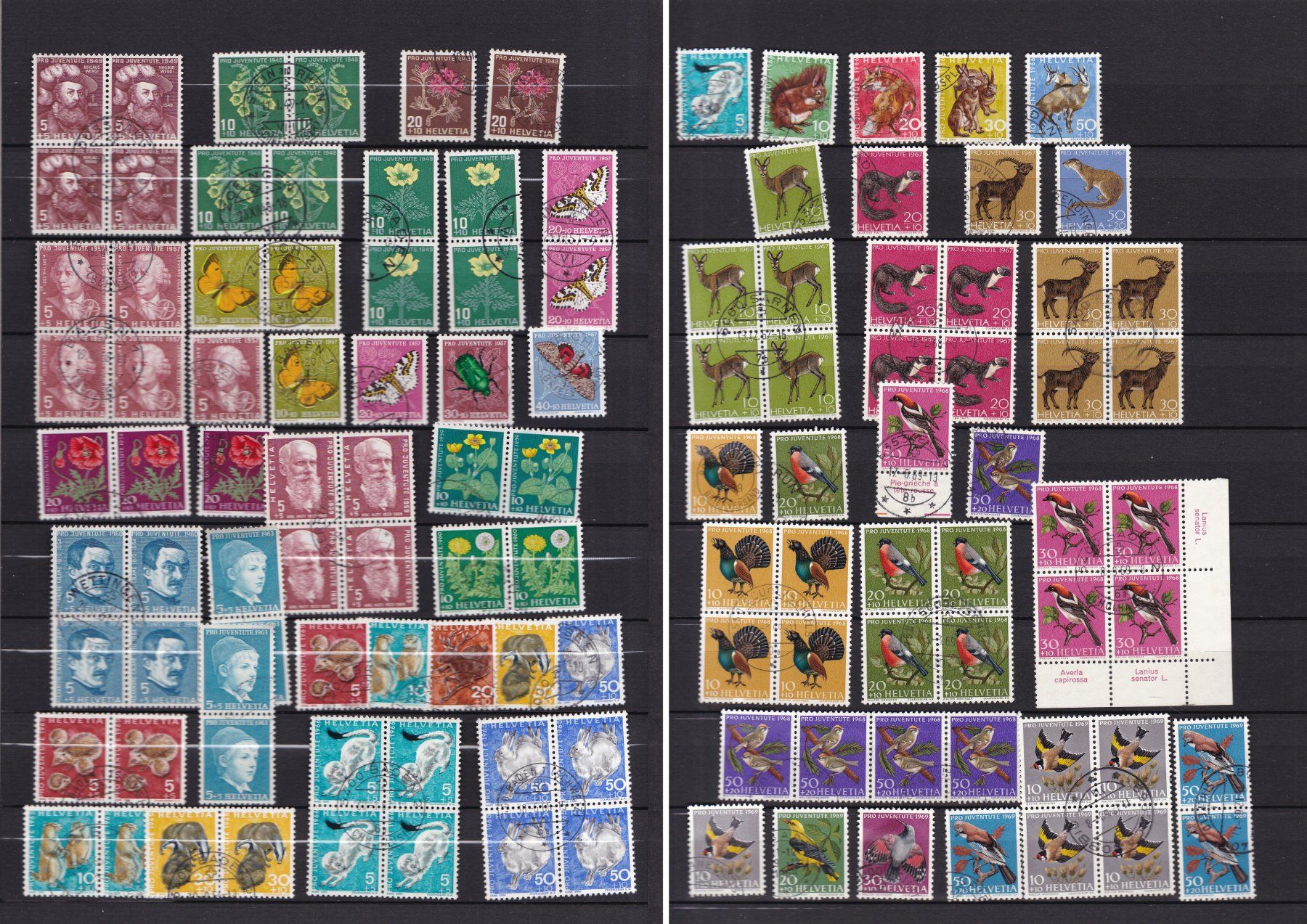 Tutti i francobolli: CH Briefmarkenalbum, viele Blocks – Usato da Münchwilen AG venduto da Nesar 5