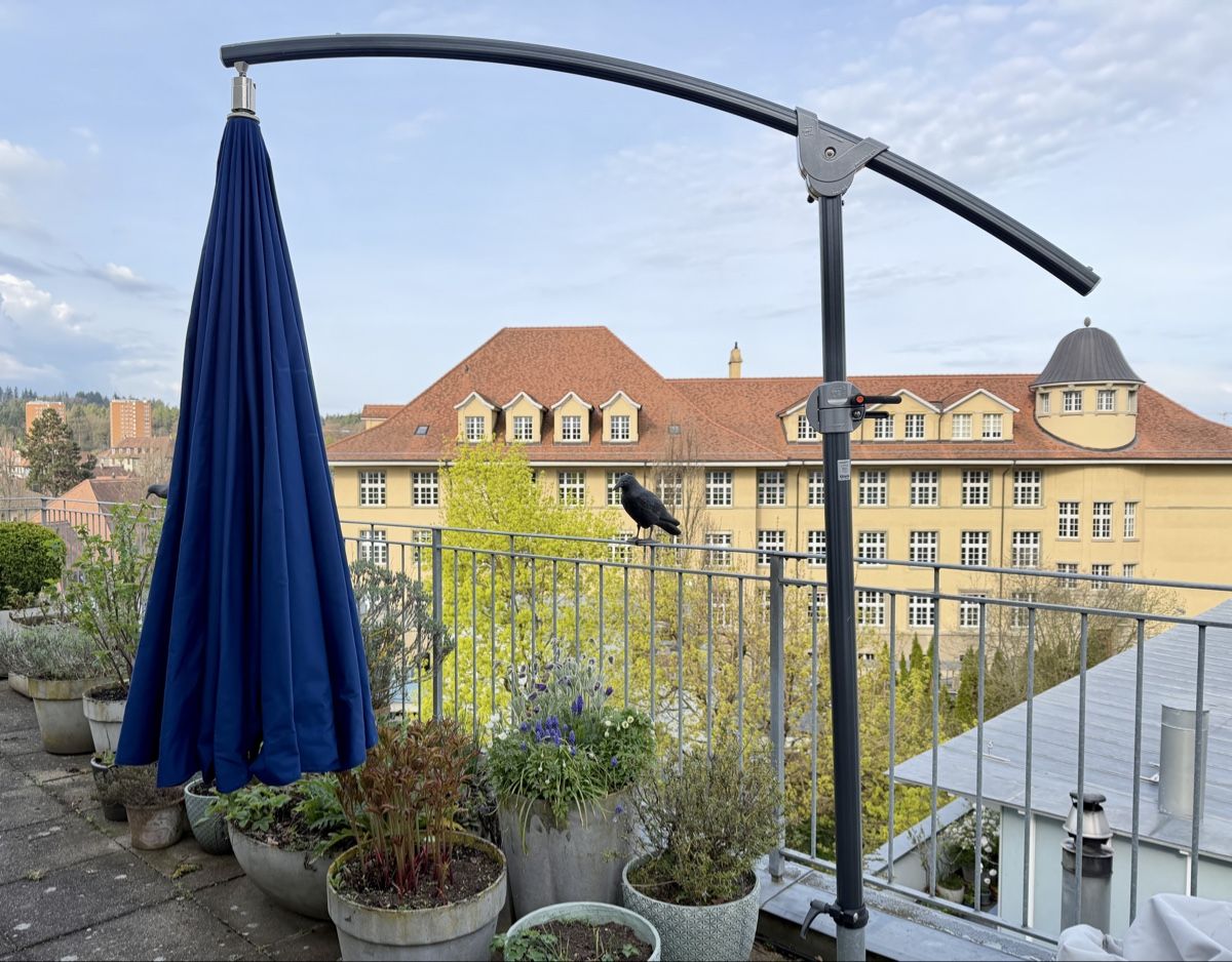 Glatz Sonnenschirme: Glatz Sonnenschirm – Gebraucht aus Bern von Lungo38 1